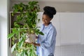 Happy pleased young African woman holding potted Philodendron plant enjoying home gardening Royalty Free Stock Photo