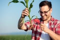 Happy young agronomist or farmer examining young corn plant root with a magnifying glass