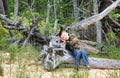 Young boy on beach sitting on fallen tree.