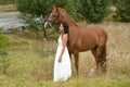 Happy smiling young woman and horse Royalty Free Stock Photo