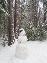 Happy smowman in winter forest Royalty Free Stock Photo
