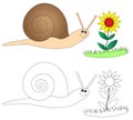 Happy snail & flower Royalty Free Stock Photo