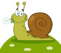 Happy snail with a flower Royalty Free Stock Photo