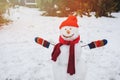 Happy snow man in the garden or backyard