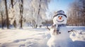 A happy snowman welcomes winter in a quiet snowy landscape on a sunny day