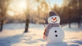 A happy snowman welcomes winter in a quiet snowy landscape on a sunny day