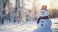 A happy snowman welcomes winter in a quiet snowy landscape on a sunny day