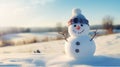 A happy snowman welcomes winter in a quiet snowy landscape on a sunny day