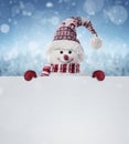 Happy snowman in the winter scenery behind the blank advertising banner Royalty Free Stock Photo