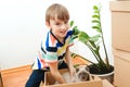 Happy son and a cat having fun together at moving day in new home. Housing a young family with kid and pet Royalty Free Stock Photo