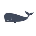 Happy sperm whale, cachalot Royalty Free Stock Photo