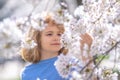 Happy spring. Close up portrait of smiling child face near white cherry blossom tree, spring flowers. Kid among branches Royalty Free Stock Photo