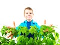 Happy spring gardening boy Royalty Free Stock Photo