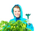 Happy spring gardening boy Royalty Free Stock Photo