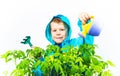 Happy spring gardening boy Royalty Free Stock Photo
