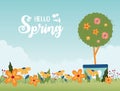 Happy spring potted tree flowers garden floral grass