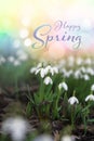 Happy Spring Snowdrop Flower Seasonal Vertical Banner