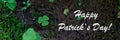 Happy st. Patrick day Green clovers leaf Royalty Free Stock Photo