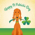 Happy St. Patrick`s Day. Funny Irish Setter