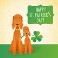 Happy St. Patrick`s Day. Funny Irish Setters Royalty Free Stock Photo