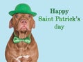 Happy St. Patrick& x27;s Day. Lovable, pretty puppy