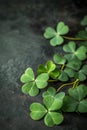 Happy St.Patricks Day. Composition with clover leave Royalty Free Stock Photo