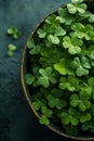 Happy St.Patricks Day. Composition with clover leave Royalty Free Stock Photo