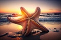 Happy starfish on the beach with a wide angle view