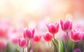 Happy start of spring poster. Beautiful photorealistic pink tulips close up on blurred background. Spring garden flowers. Bokeh