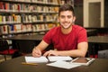 Happy student doing homework Royalty Free Stock Photo