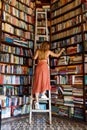 Happy student girl or woman with picking up books in library. Young woman casual daily lifestyle standing with books on Royalty Free Stock Photo