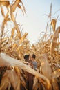 Happy stylish couple embracing and kissing in autumn corn field in warm sunset light Royalty Free Stock Photo