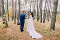 Happy stylish groom and his charming new wife posing in the autumn pine forest. Back view Royalty Free Stock Photo