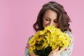 Happy stylish woman enjoying chrysanthemums flowers on pink Royalty Free Stock Photo