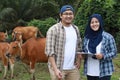 Happy successful Asian muslim farmer couple looking at camera and smiling, with domesticated cow ox cattle grazing in the Royalty Free Stock Photo