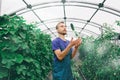 Happy successful male farmer juggles fresh harvested cucumbers in greenhouse. Good harvest concept