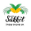 Happy Sukkot calligraphy lettering with four species etrog, lulav, Arava, Hadas leaves. Jewish traditional holiday celebration Royalty Free Stock Photo