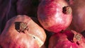 Happy Sukkot, New Year, Shanah Tovah concept : Pomegranate alone on pink cloth texture background with sharp light, strong shadows