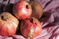 Happy Sukkot, New Year, Shanah Tovah concept : Pomegranate alone on pink cloth texture background with sharp light, strong shadows