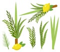 Happy Sukkot set. Collection of objects, design elements for Jewish Feast Royalty Free Stock Photo