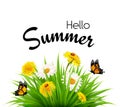 Happy summer holidays background with flowers Royalty Free Stock Photo