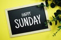 Happy Sunday typography text written on wooden blackboard with green eucalyptus decoration on yellow background Royalty Free Stock Photo