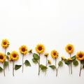 Happy sunflower border Royalty Free Stock Photo