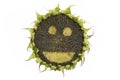 Happy sunflower isolated