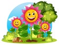 Happy Sunflower with Smiling Face Royalty Free Stock Photo