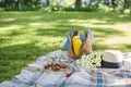 Happy sunny day at a picnic in the park. Flowers, fruits, drinks, a basket and a blanket. Copy space.