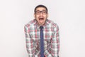 Happy surprised bearded businessman in colorful checkered shirt, blue tie and black eyeglasses standing and looking at camera wit Royalty Free Stock Photo