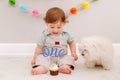 Happy surprised cute Caucasian baby boy celebrating first birthday at home. Child kid sitting on floor with pet dog. Tasty cupcake Royalty Free Stock Photo