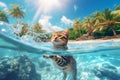 A happy tabbby cat swimming in the sea, tropical island paradise in summer, small adventure in holidays, Generative AI