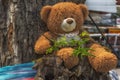 A happy teddy bear is sitting on a tree